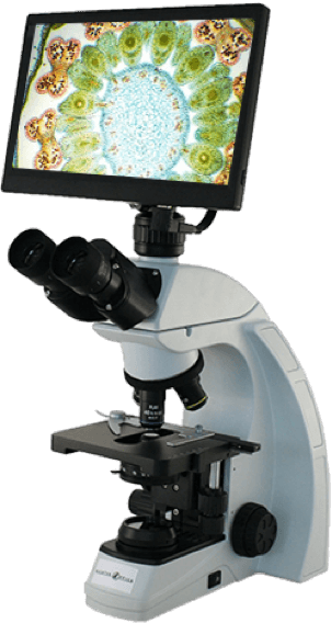 Upgrade to Digital Microscope