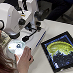 WiFi iPad Microscope