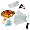 Super Slide Kit: Slides, Activity Book, Starter Kit Super Slide Kit: Slides, Activity Book, Starter Kit