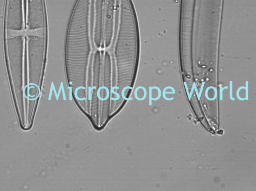 Clean microscope lens image