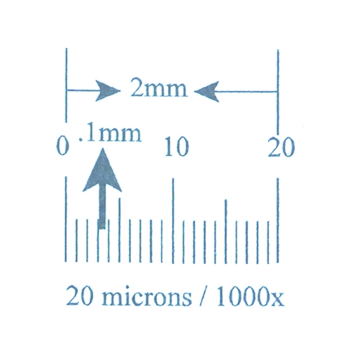 Толщина 0.01 мм. Микрон в мм. 1 Миллиметре 1000 микрон. Микрон от миллиметра. 1000 Микрон в миллиметрах.