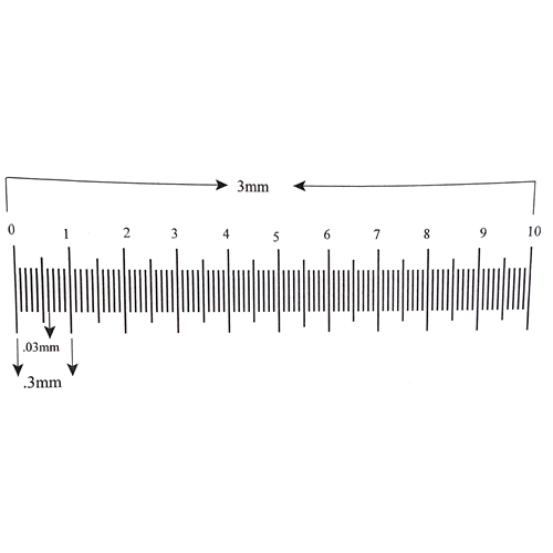Ruler