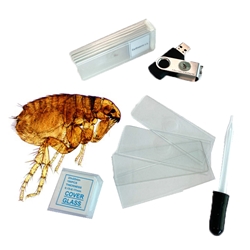 Science Set: Microscope Slides, Activity Book, Starter Kit