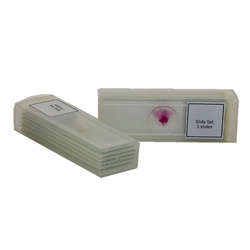 Microscope Slide Kit: Major Organs and  Blood