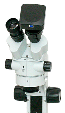 Stereo Microscope with Camera Mounted over Binocular Eyetube Stereo Microscope with Camera Mounted over Binocular Eyetube