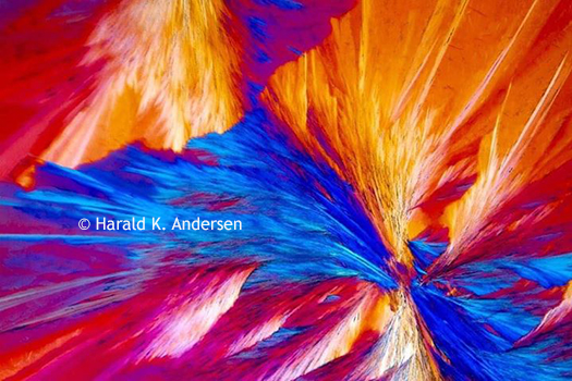 Tartaric Acid under Polarizing Microscope Tartaric Acid under Polarizing Microscope