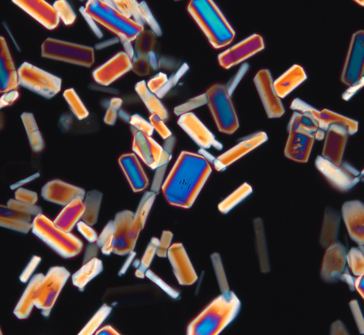 Crystals under a polarizing microscope Crystals under a polarizing microscope