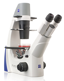 Zeiss Primovert Live Cell Inverted Microscope Zeiss Primovert Live Cell Inverted Microscope