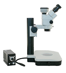 C. Elegan Stereo Microscope for Viewing Worms C. Elegans Worms Microscope