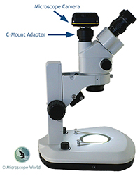 Microscope Camera and C-Mount Illustration Microscope Camera and C-Mount Illustration