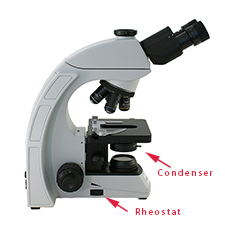 Microscope condenser and microscope rheostat light control image Microscope Condenser and Rheostat Control