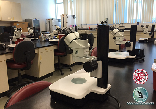 Cal State Northridge Microscope Lab Cal State Northridge Microscope Lab