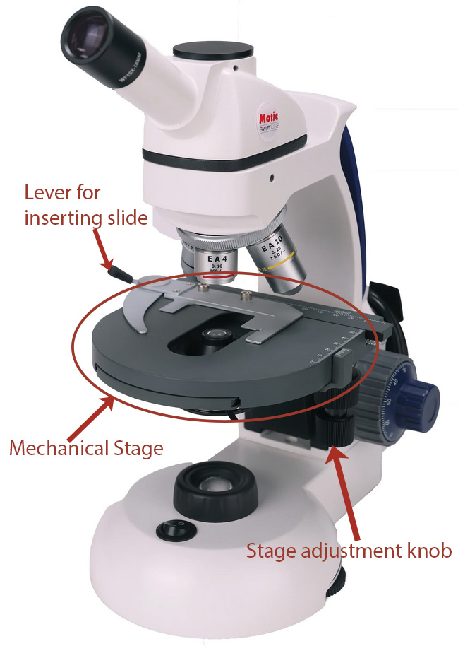 Swift microscope with labeled Mechanical stage Swift microscope with labeled Mechanical stage