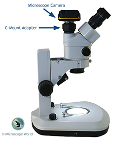 Microscope Camera Connection Microscope Camera Connection