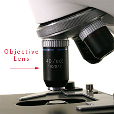 Microscope objective lenses. Microscope objective lenses.