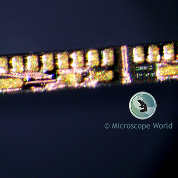 Microscope Resolution at 90x Microscope Resolution at 90x