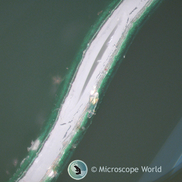 Potato Chip Bag Seal Under Microscope 100x Potato Chip Bag Seal Under Microscope